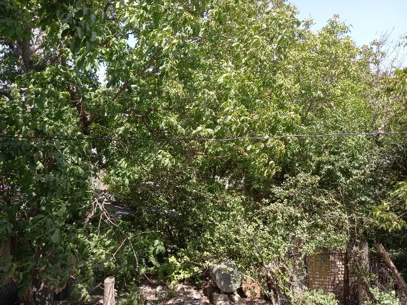 ۴۱۰متر زمین در شهر کیلان