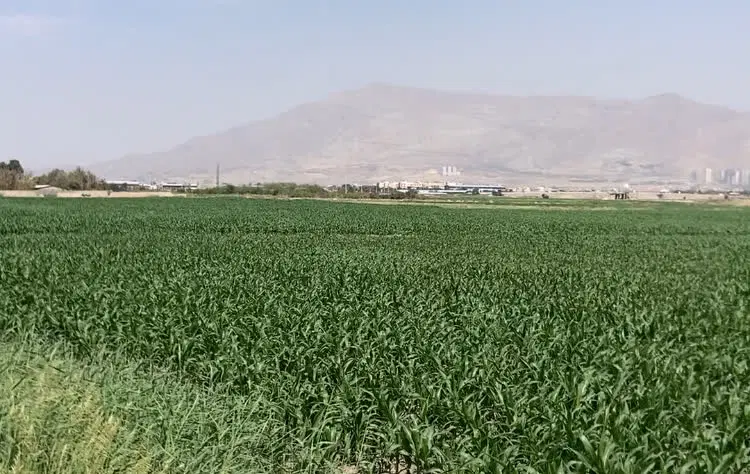 فروش زمین بصورت کامل و یا قطعه ای