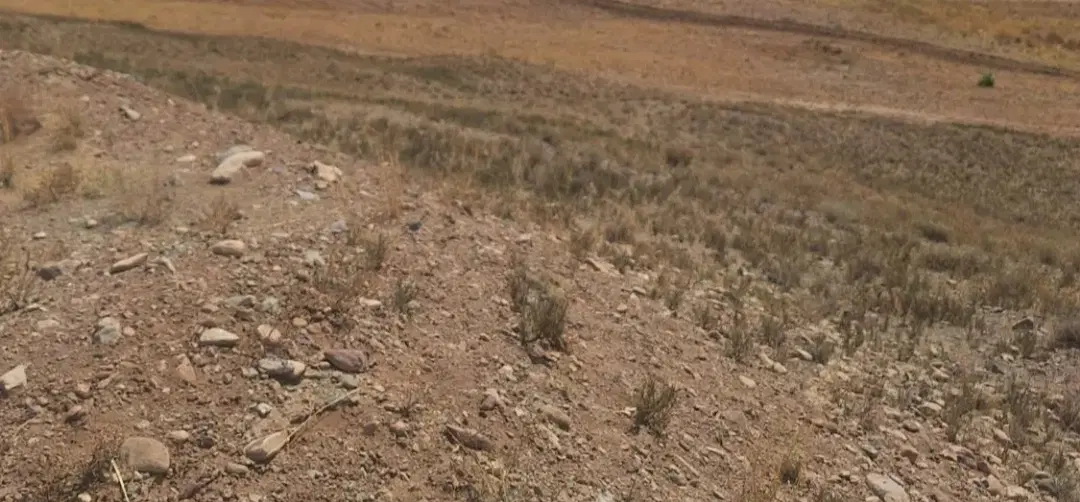 زمین مسکونی دواسب محدوده