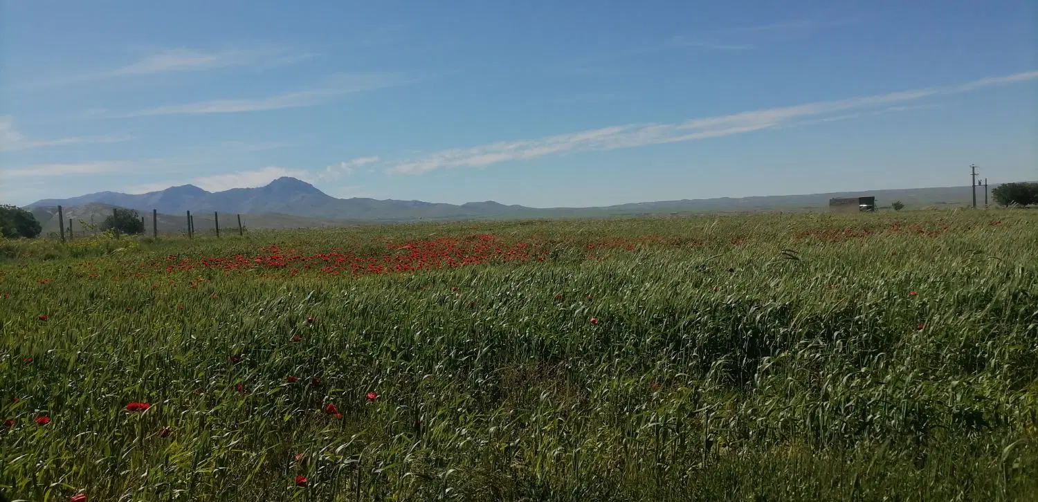 زمین باغی سیمین زاغه