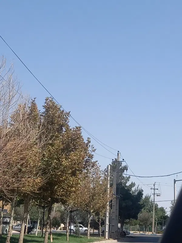 باغ