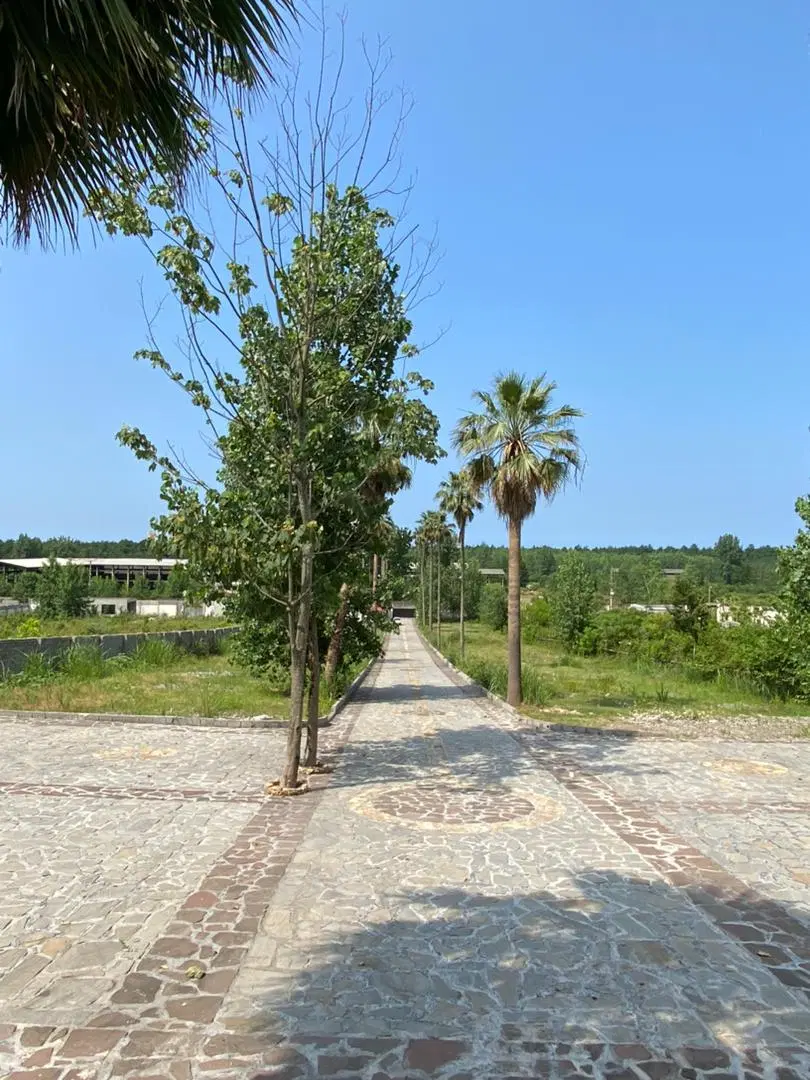 ویلا باغ استخردارجنگلی
