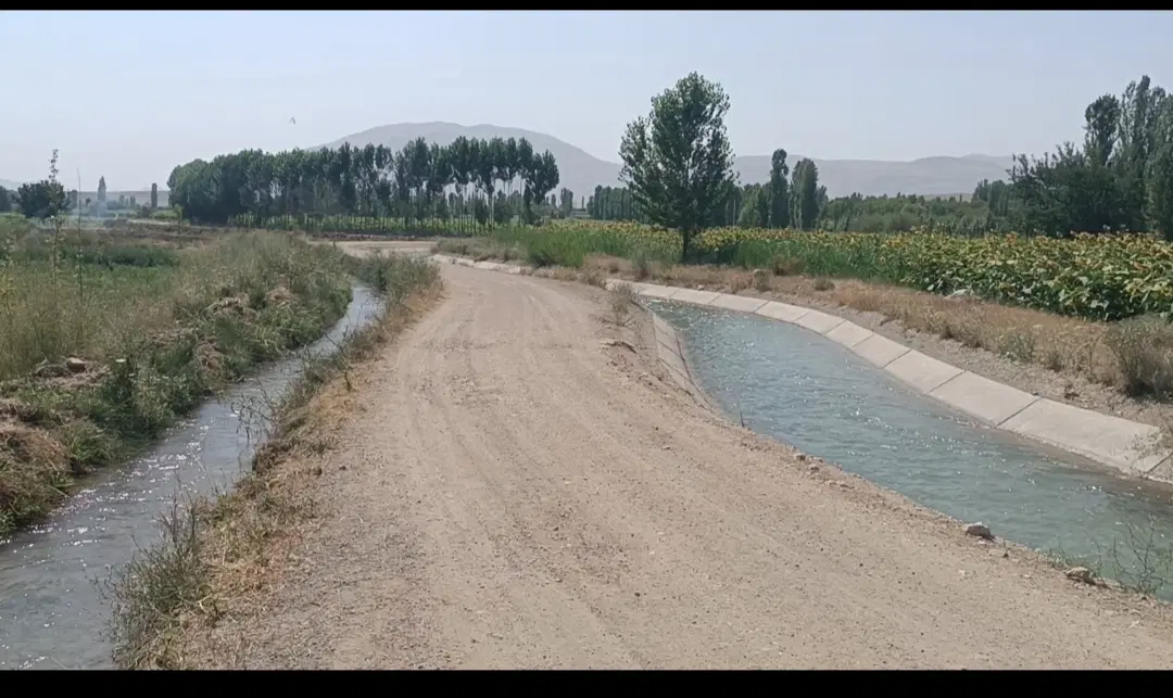 زمین زراعی