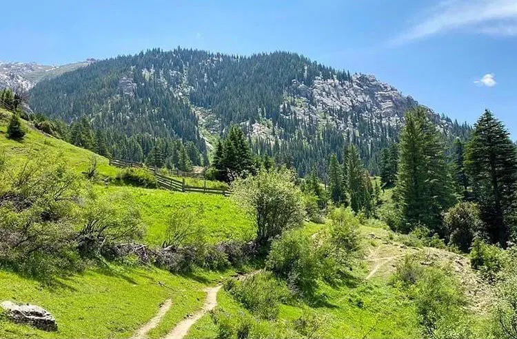 زمین باغ ویلا شمس آباد قلعه ربع