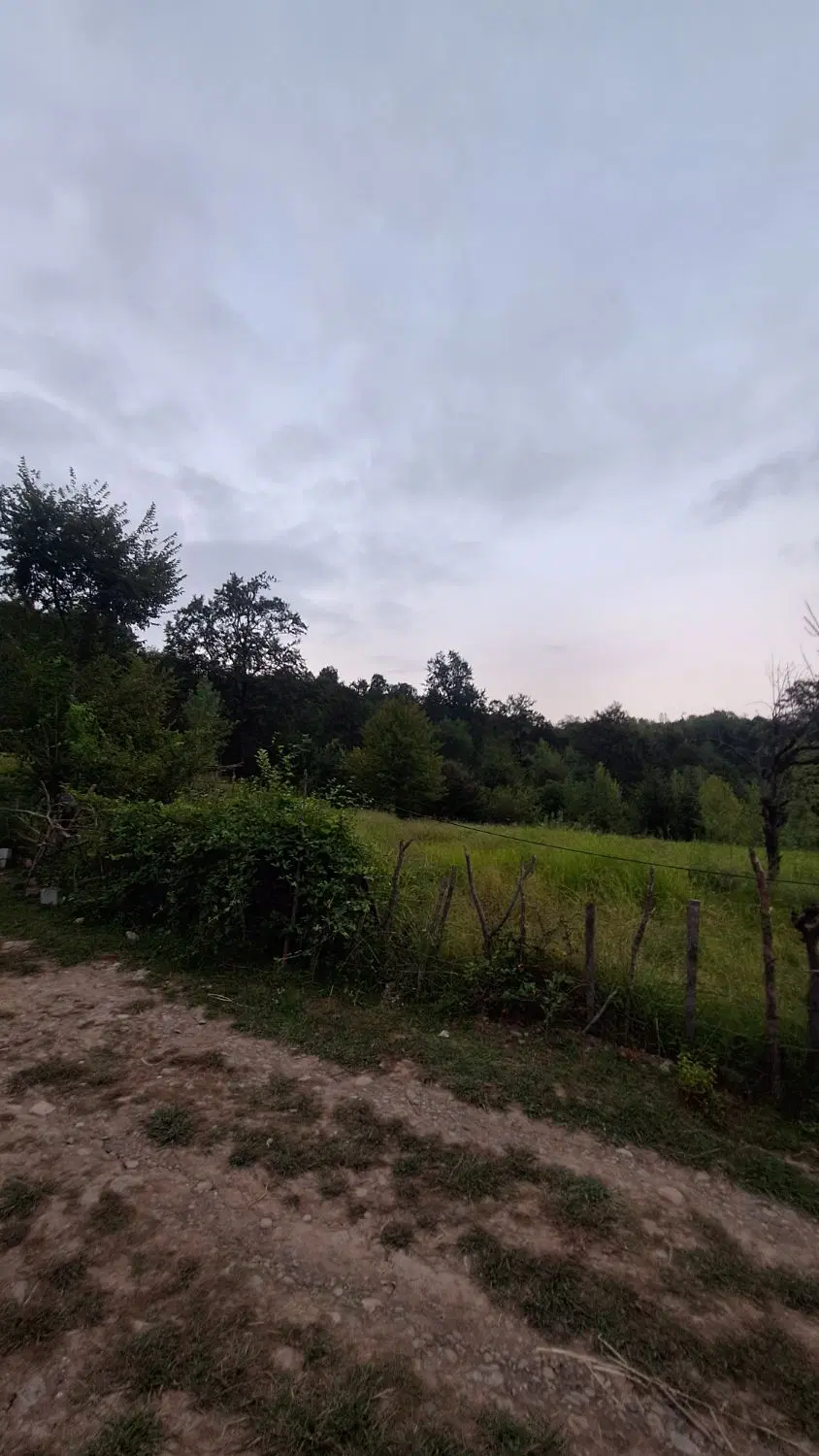 زمین مسکونی
