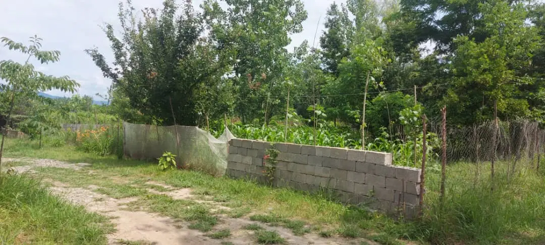 زمین درشاندرمن ۴۳۰متری بحرخیابان