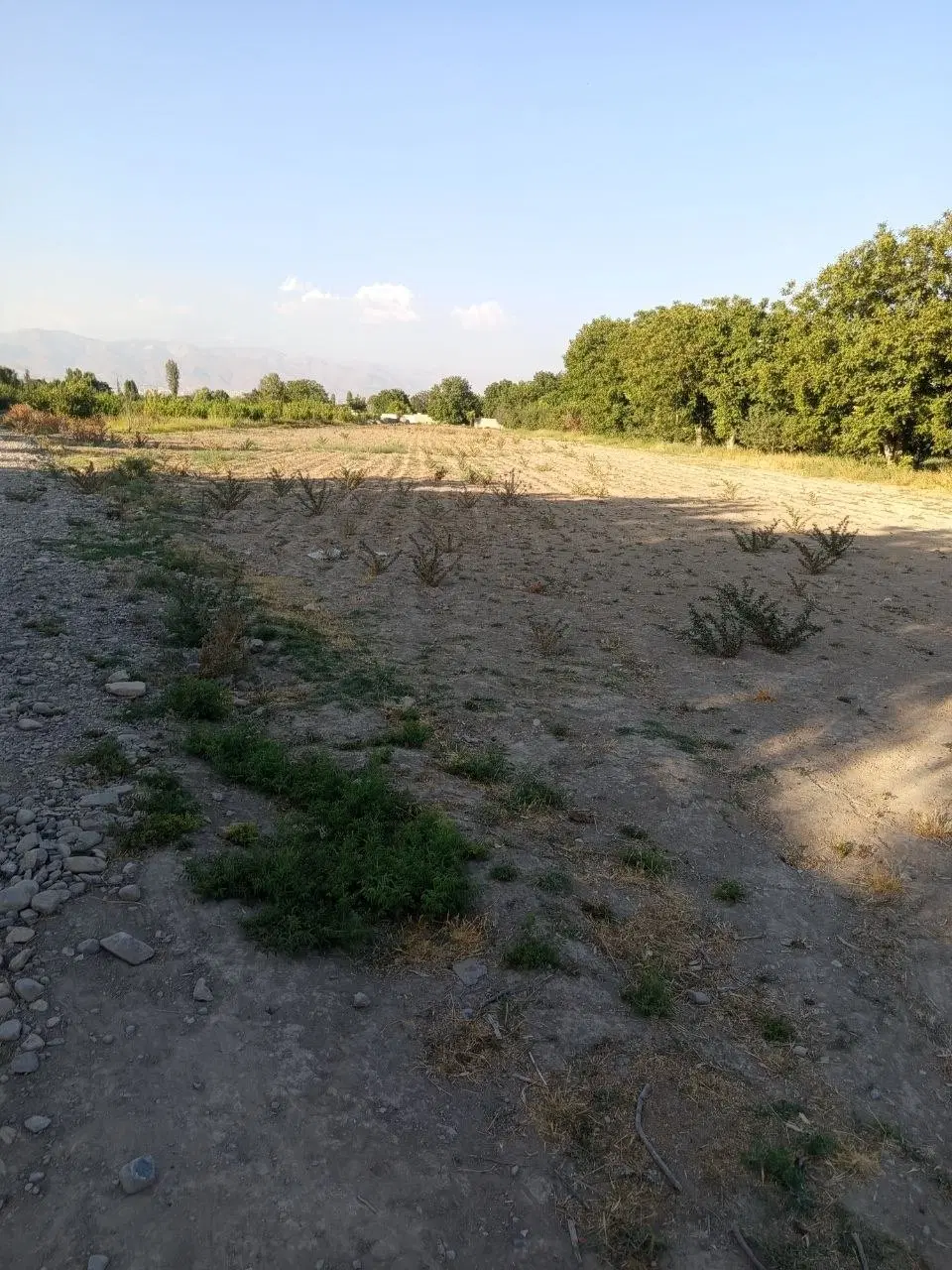 زمین به مساحت ۸۰۰۰متر سند دار