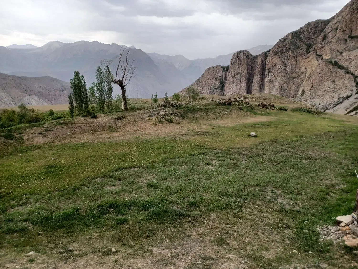 زمین ییلاقی