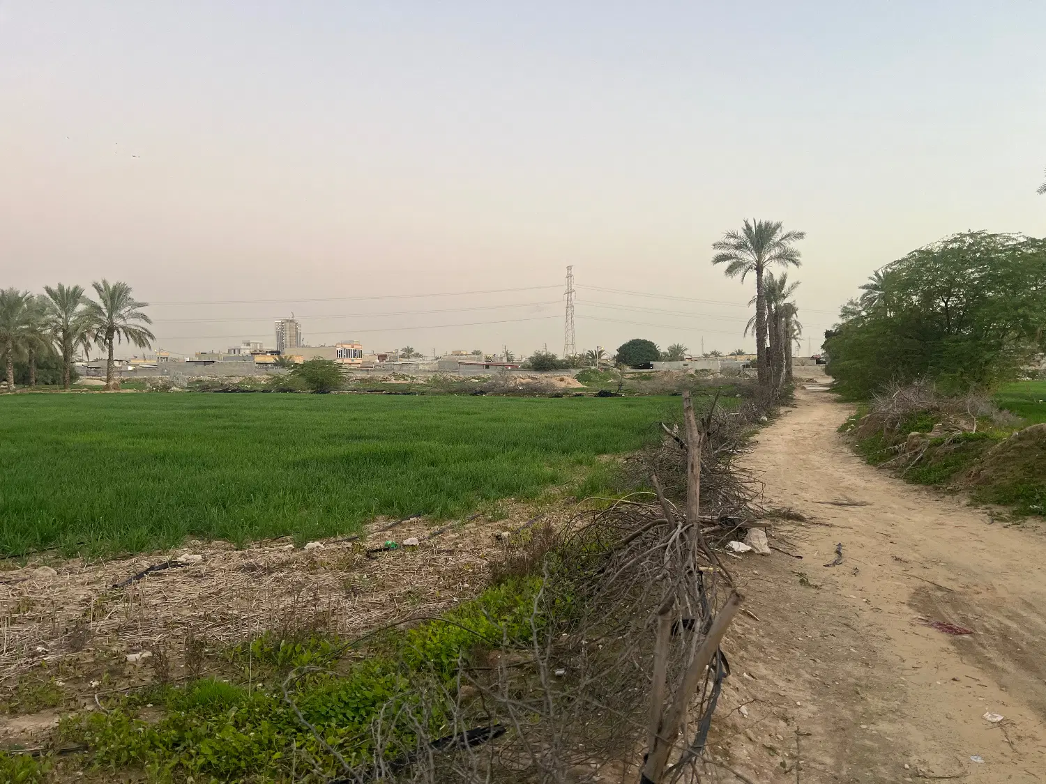 فروش زمین