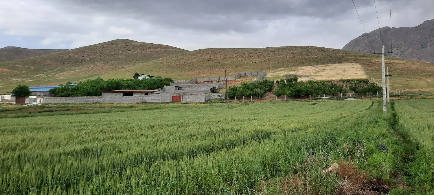 باغ چهاردیواری پانزده ساله