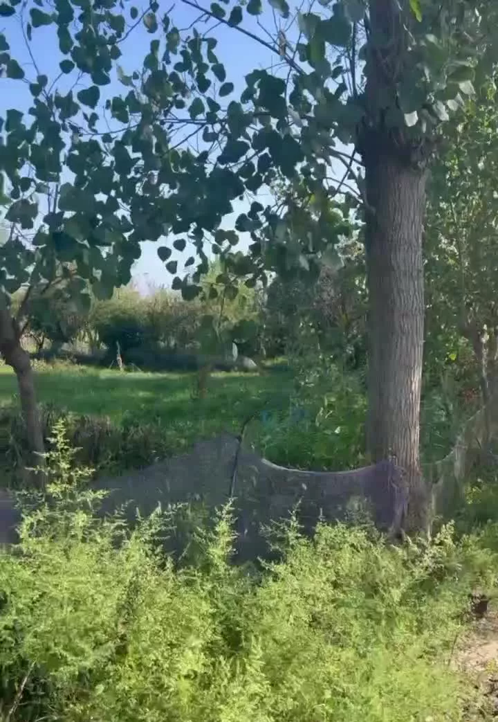 ۳۰۰ متر زمین باغ داخل طرح سند تک برگ