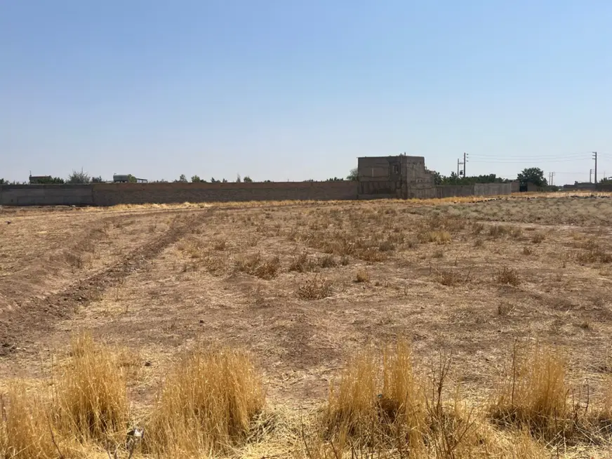 زمین کشاورزی
