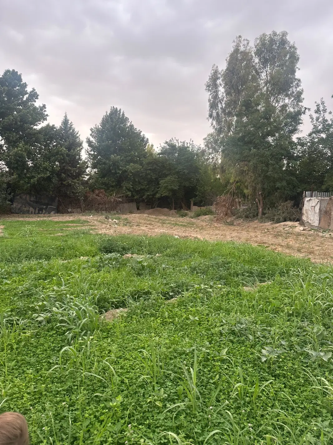 هزار متر زمین داخل چهاردیواری