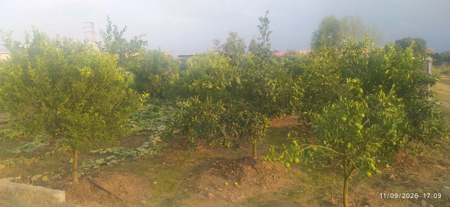 زمین دو نبش بعد شهرک صنعتی سنگتاب