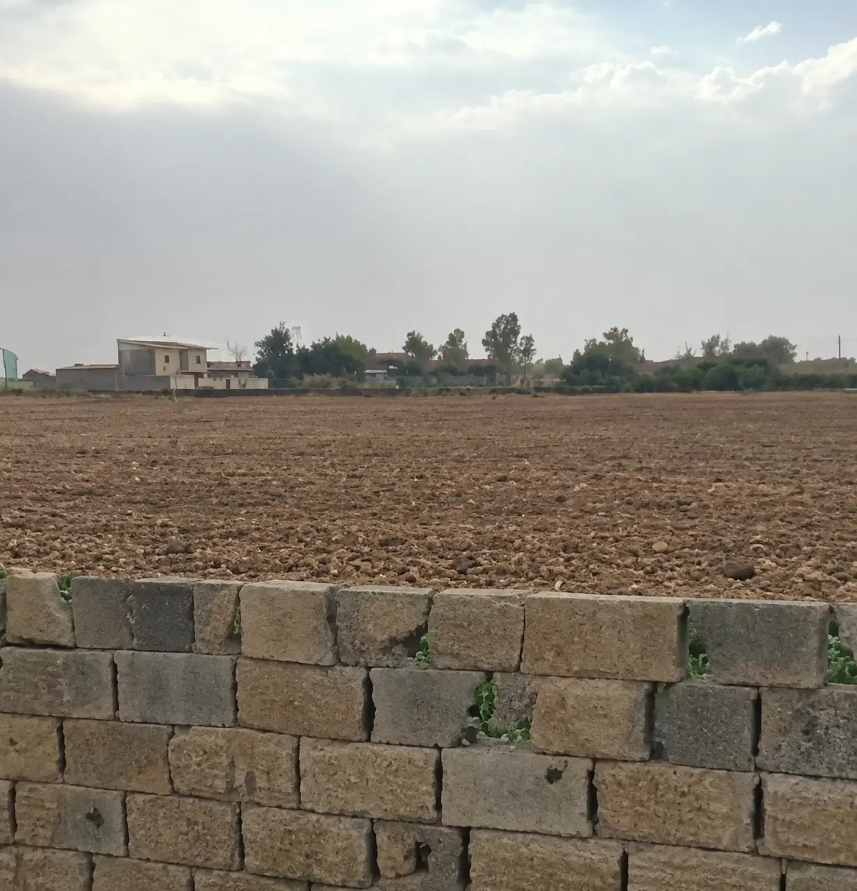 ۳۰۰۰ متر زمین تهراندشت