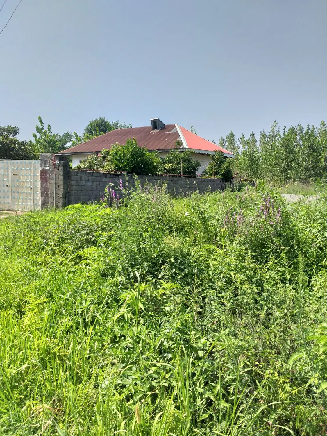 زمین مسکونی به متراژ ۴۰۰ متر مربع