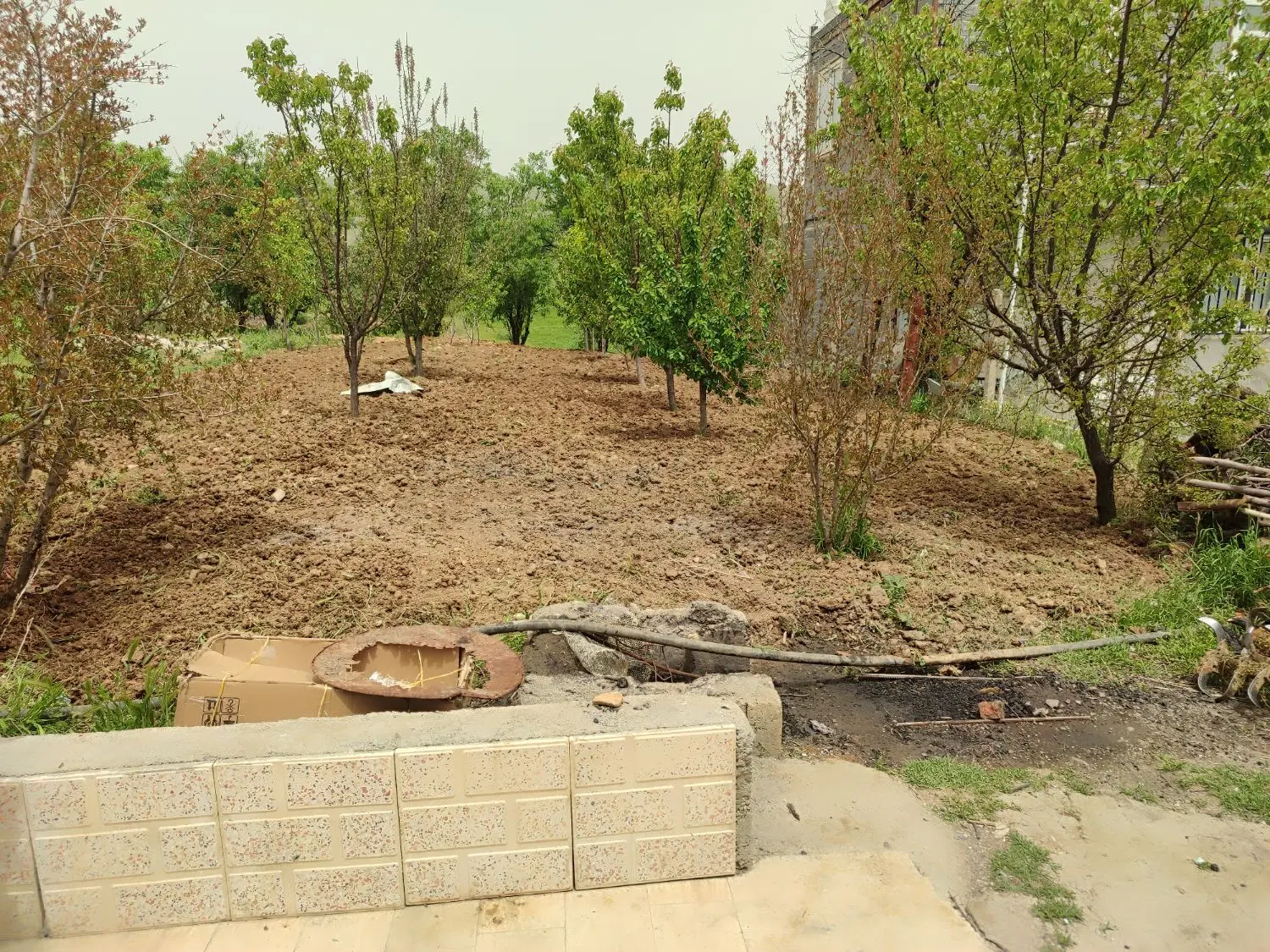 زمین کشاورزی