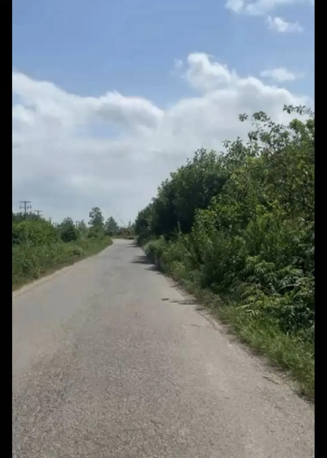 زمینی مسکونی و باغی  با پروانه و نقشه برداری شده