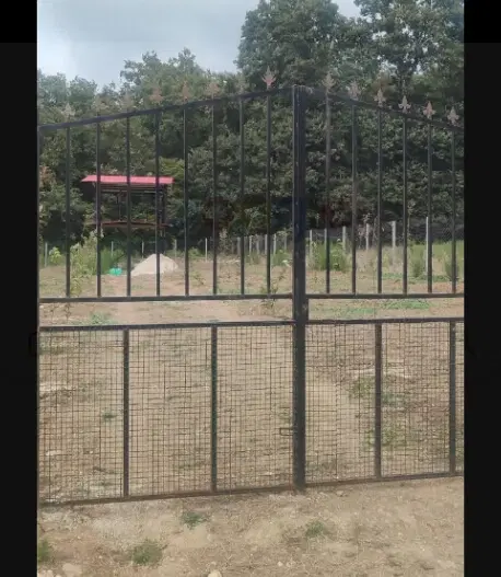 زمین باغی