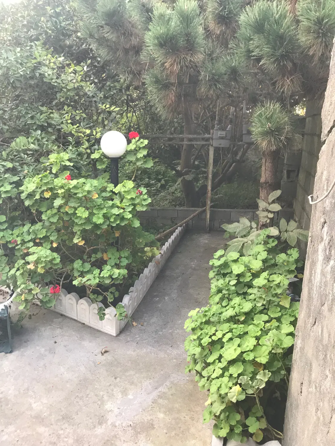 اجاره خانه ۹۵ متری