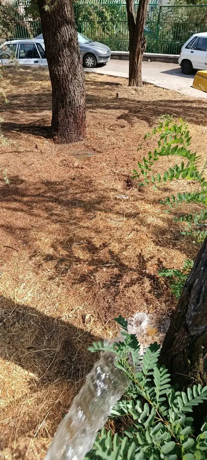 زمین مسکونی