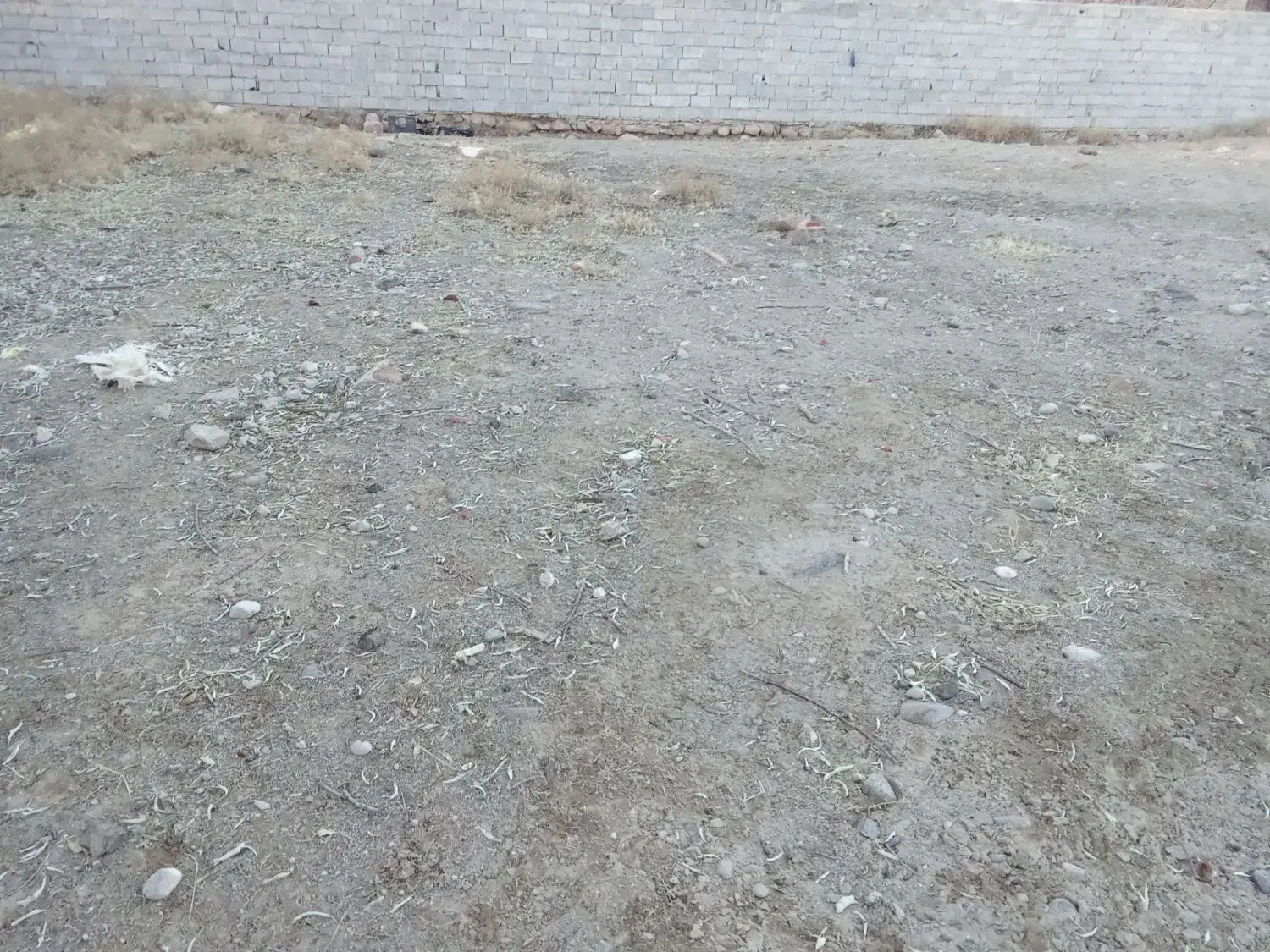 زمین در اذرشهر