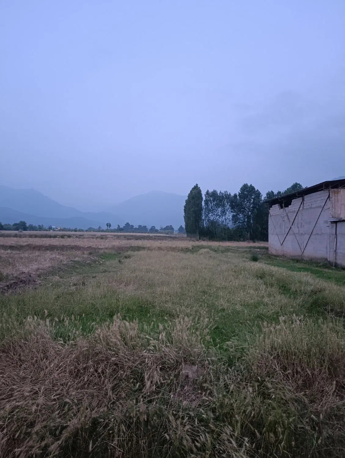 ۲۵۰متر زمین مسکونی خان ببین