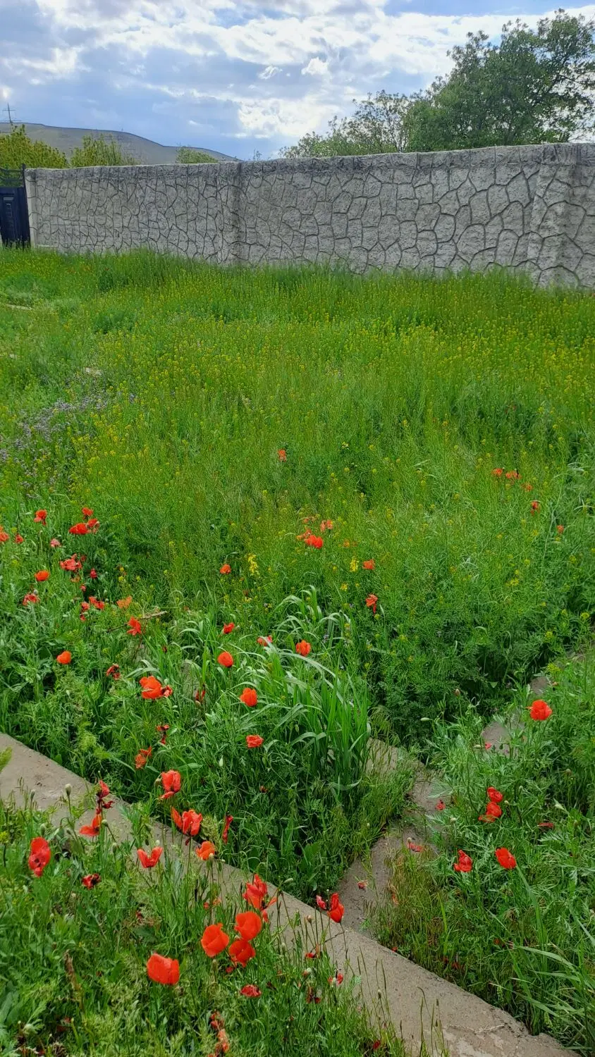زمین ویلایی ۴۴۱ متر حصار شده