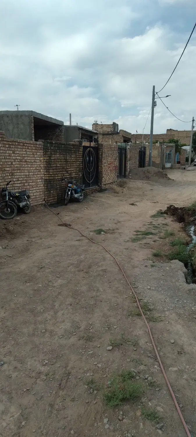 ادهم چهار کاریزنوی 2_2