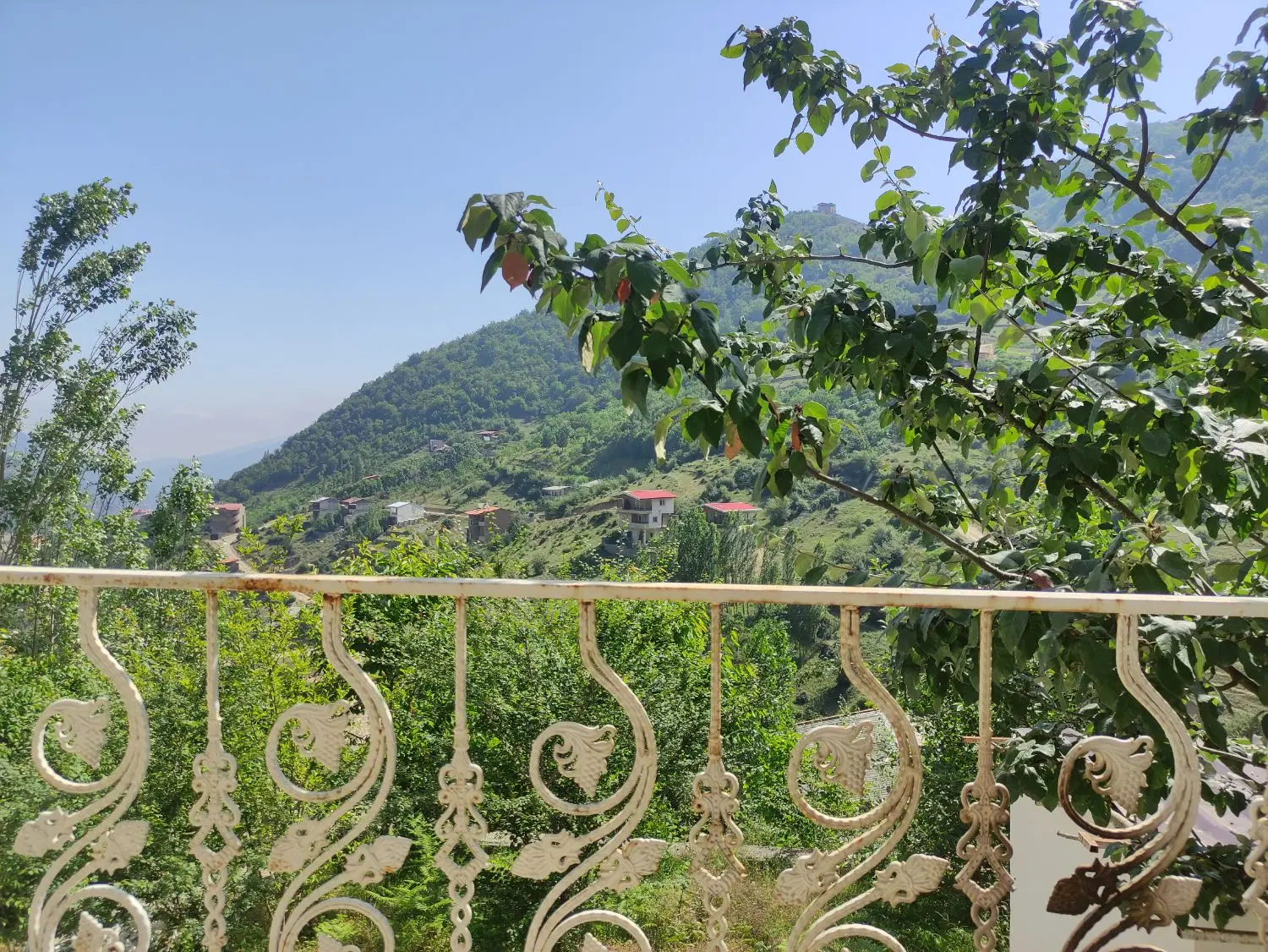 زمین