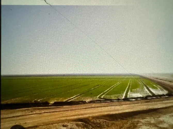 زمین کشاورزی شش دانگ