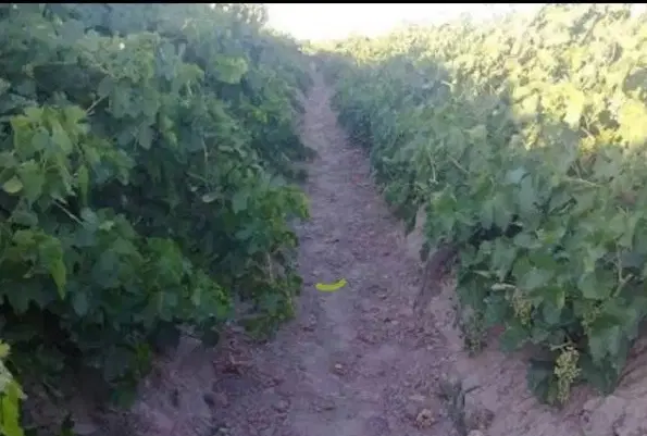 زمین ۴۰۰متر