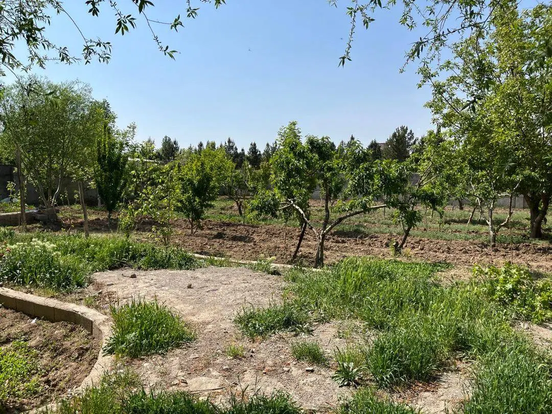 فروش زمین قاسم اباد بزرگ