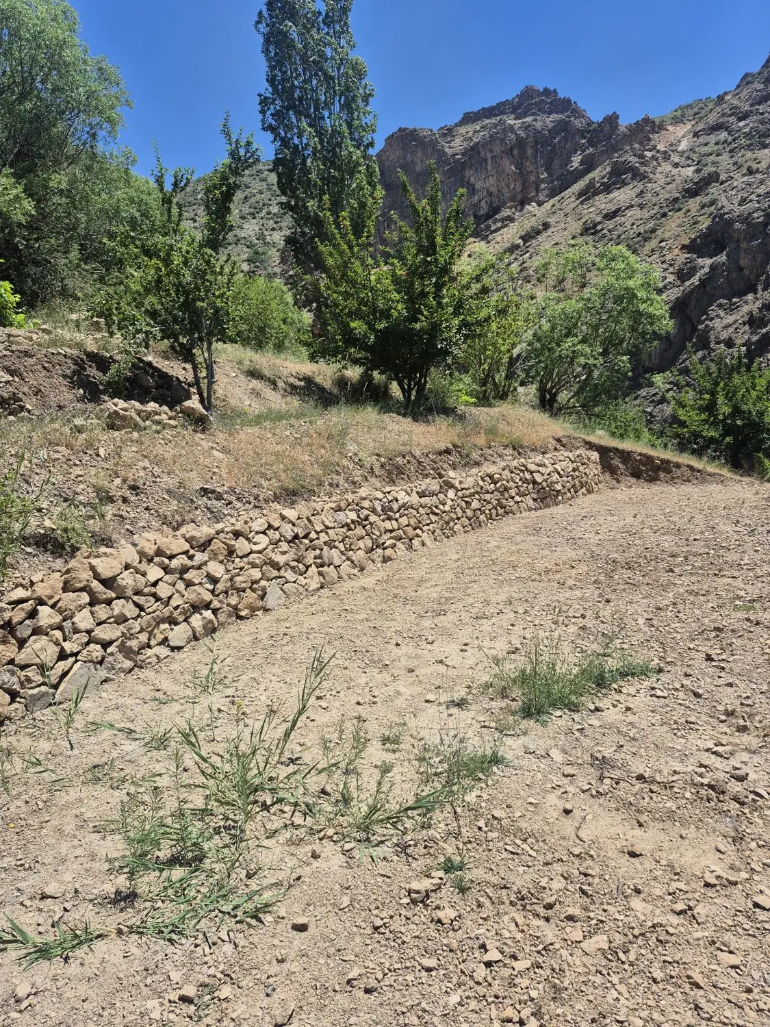 زمین 650 متری  و 500 متری پل خواب