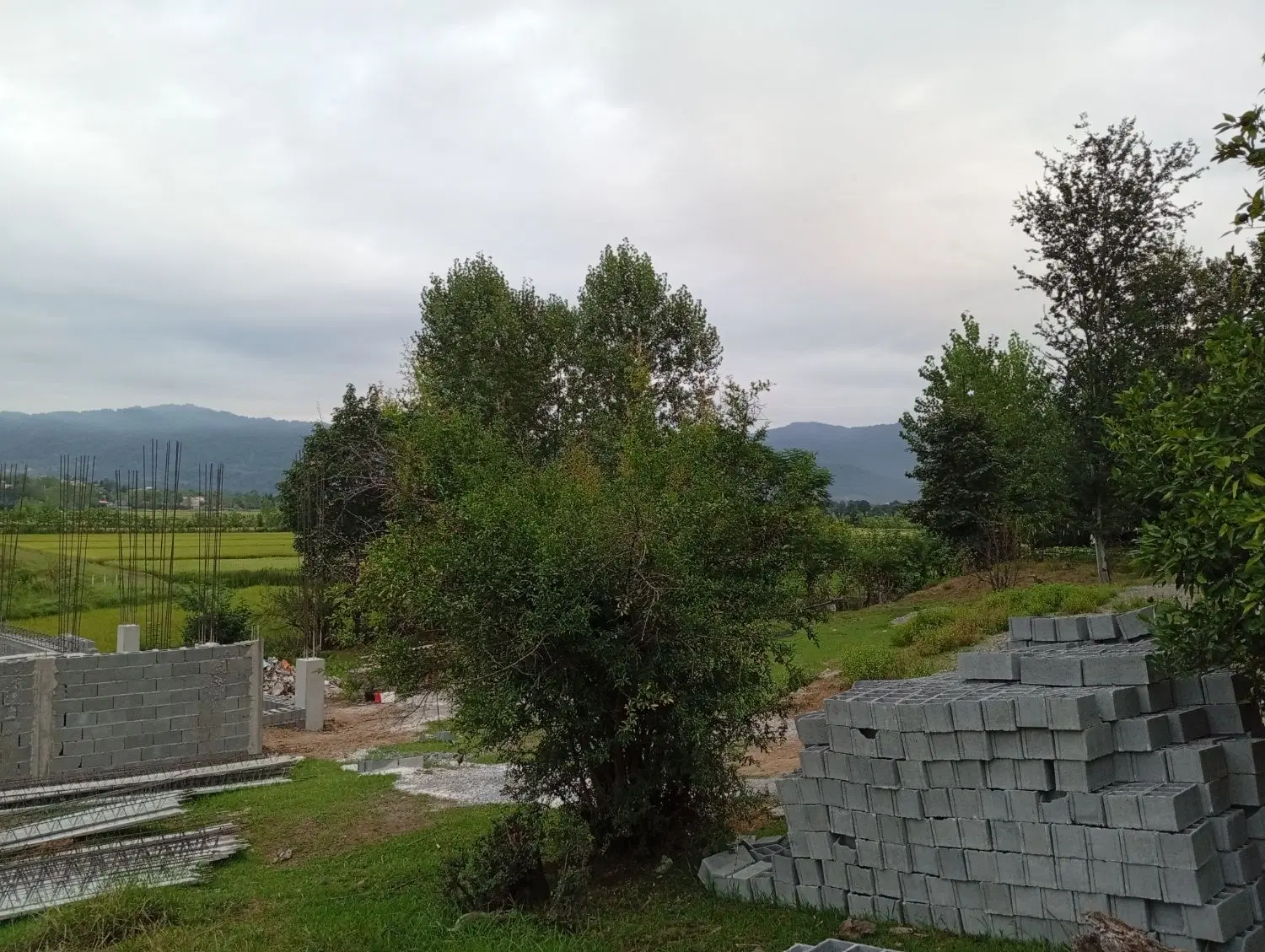 زمین مسکونی سقالکسار چماچا