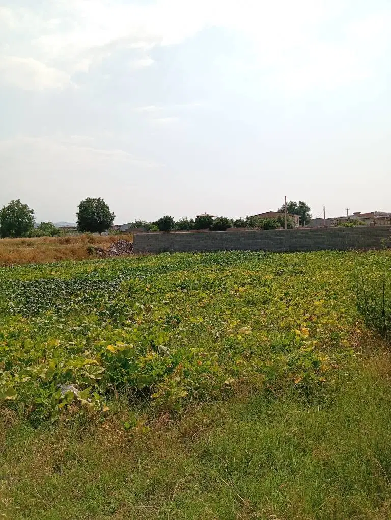 اصفهانکلاته