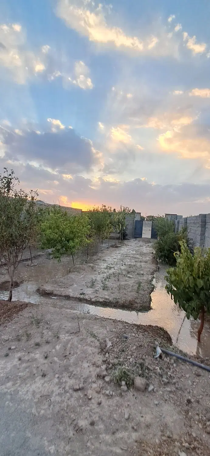 باغچه مهردشت