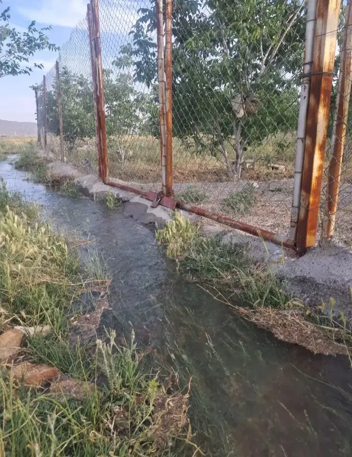 فروش باغ گردو