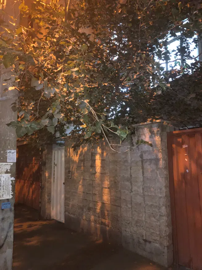 ۵۵ متر ط همکف ( جای پارک موتور)