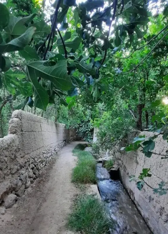 ۴۰۰متر باغچه شهرکی_میدان نماز شهریار