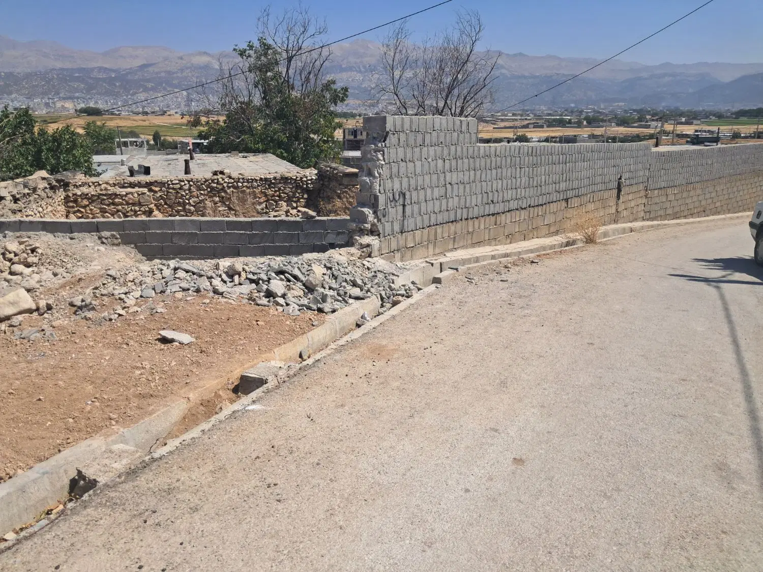 زمین سند تک برگ چنارستان