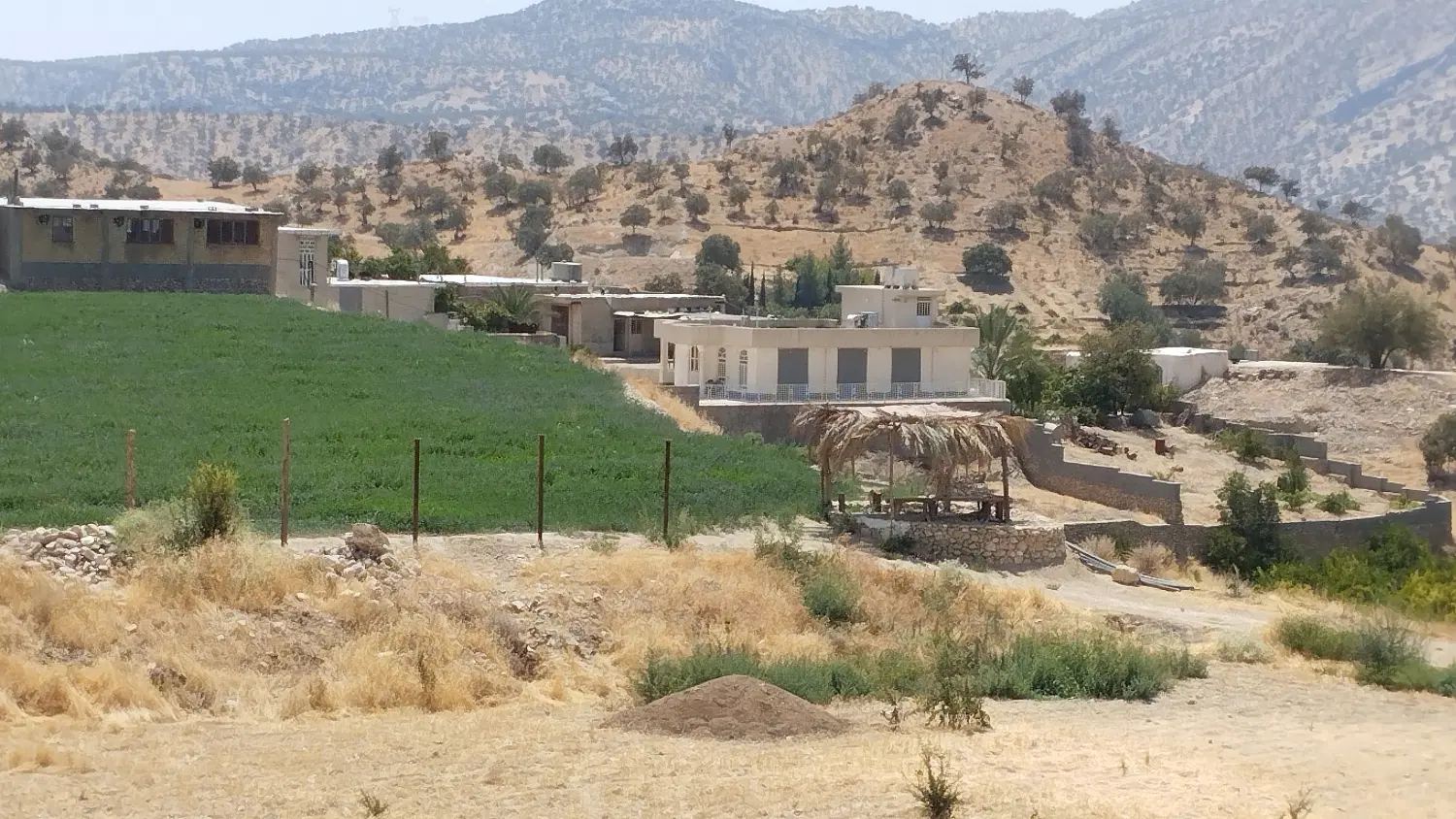 فروش زمین با کشت یونجه سال اول یا معاوضه