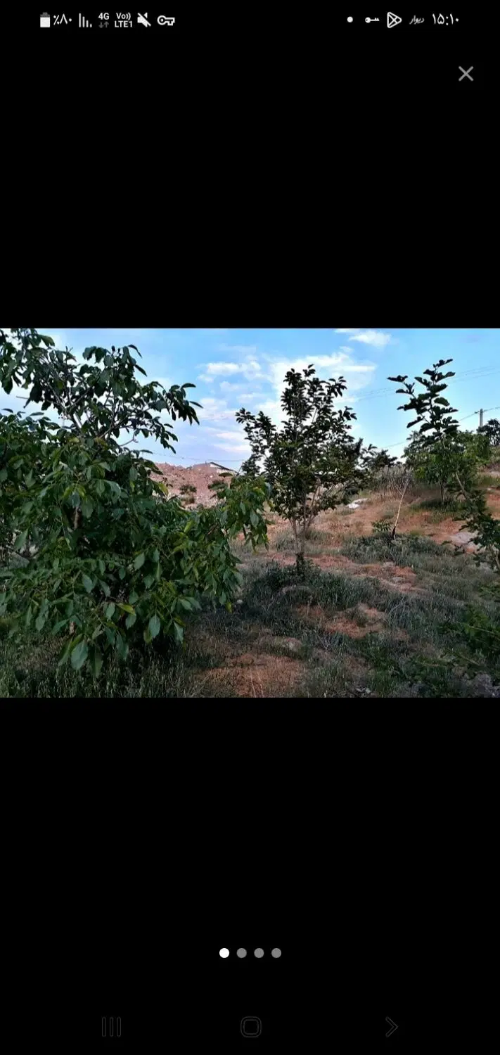 باغ فروشی