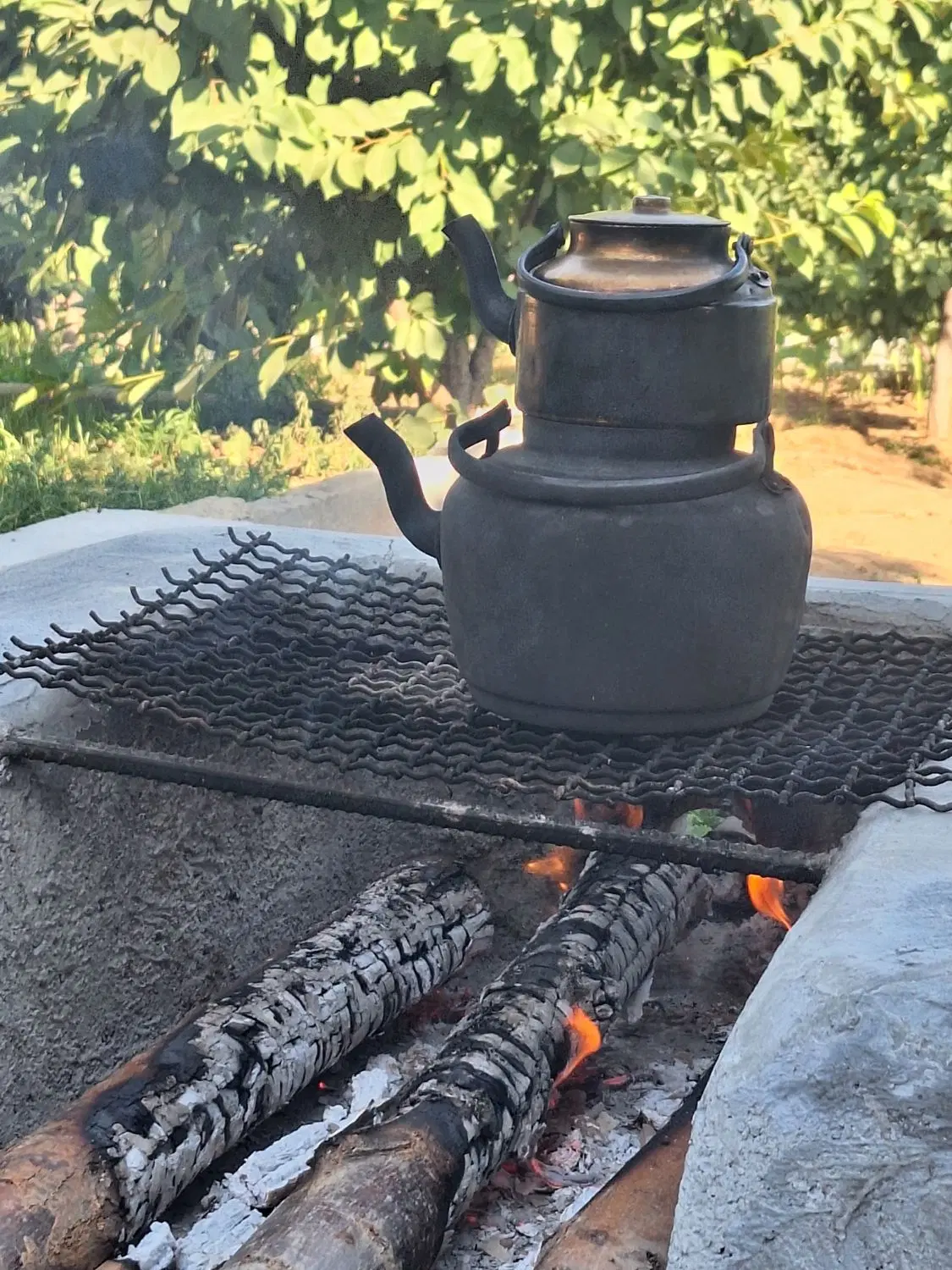 باغ ویلای