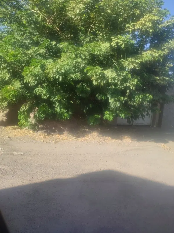 خونه اجاره ای