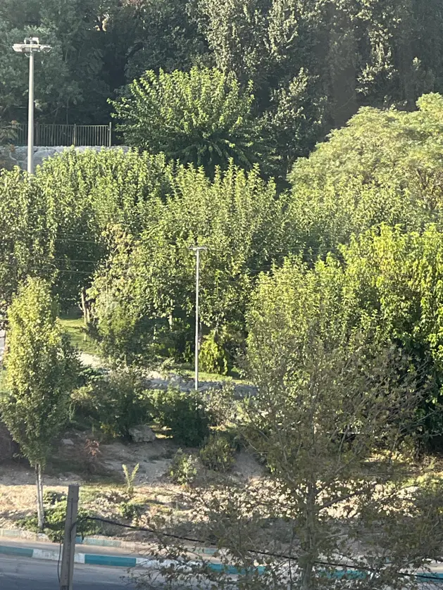 زمین جنب دادگاه جدید بر بلوار