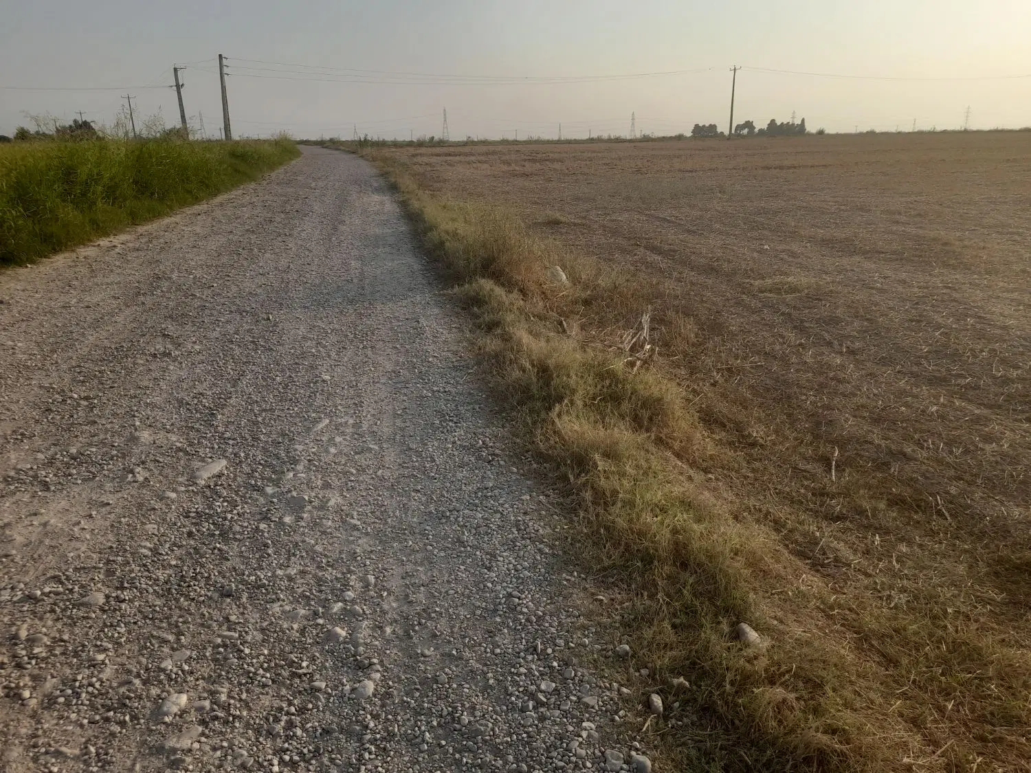 زمین