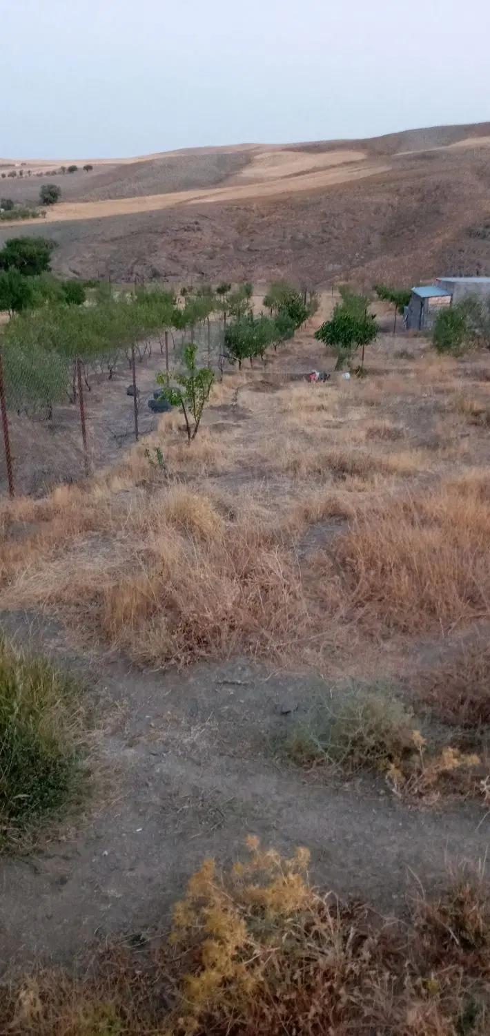 فروش زمین باغی