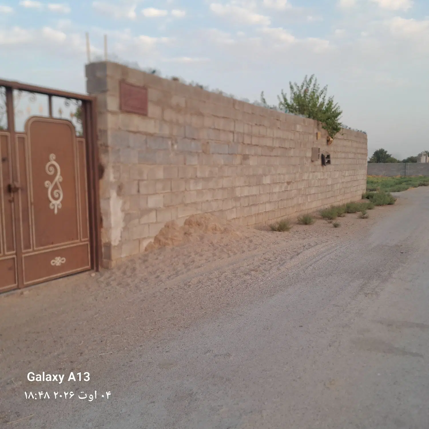 باغچه