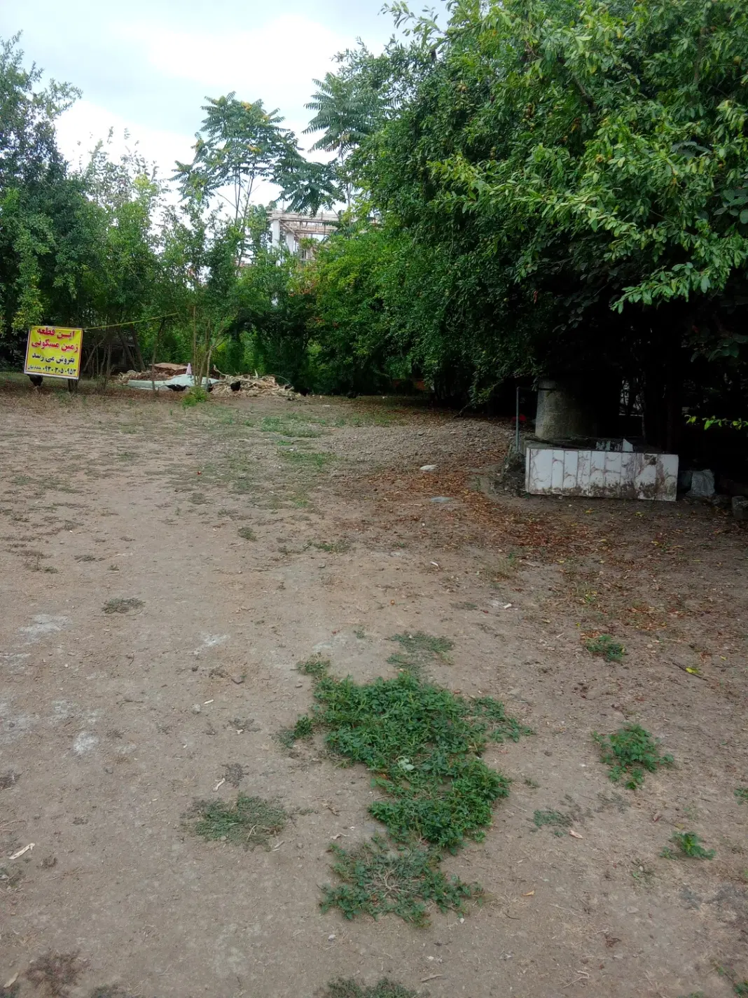 زمین در محله ای بکرجنگلهایی دنج
